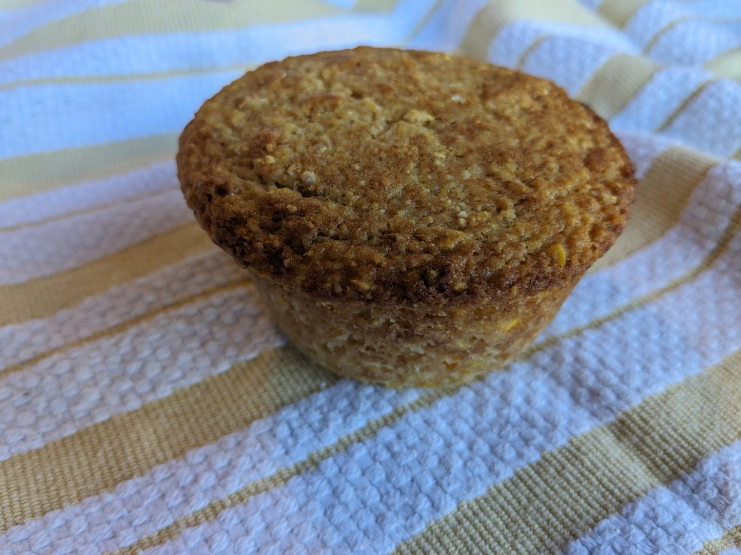 Bagels for Saturday, Nov 1 -- Oatmeal Cookie