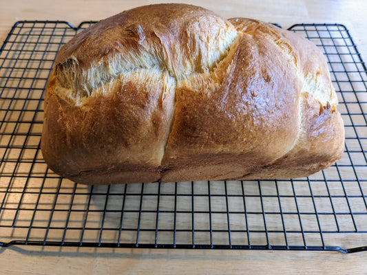 Plain and chocolate brioche for afternoon of Dec 10