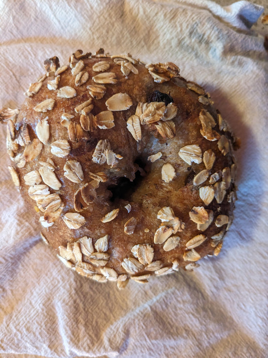 Bagels for Saturday, Nov 1 -- Oatmeal Cookie