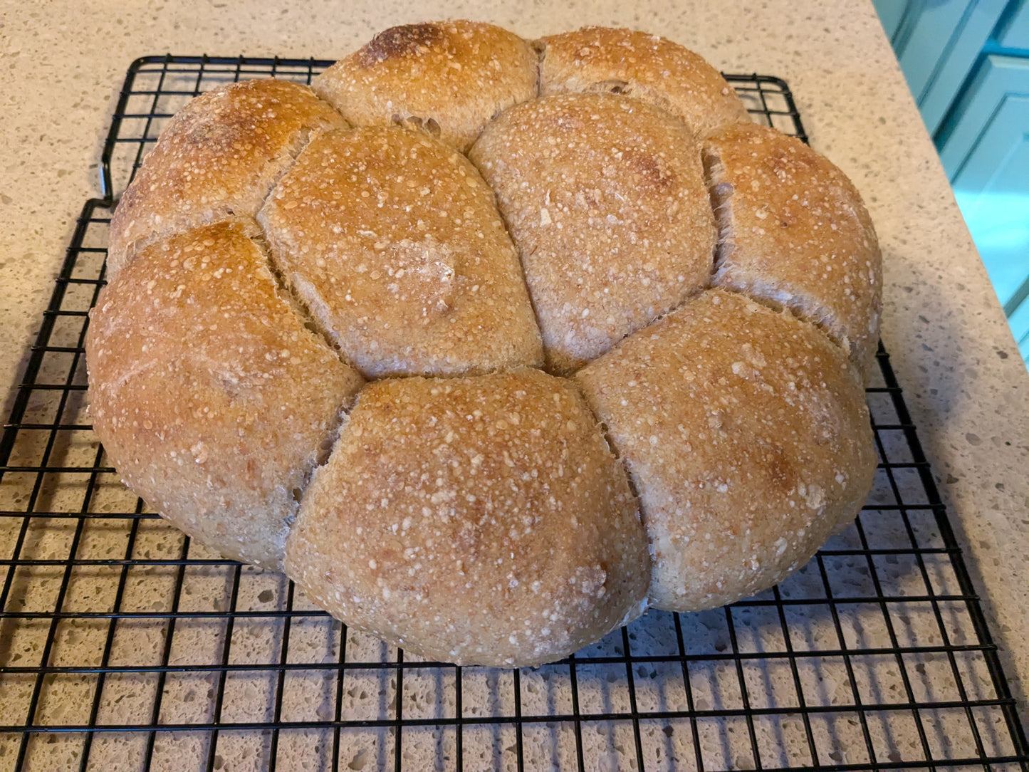 Dinner rolls for Thanksgiving 2025