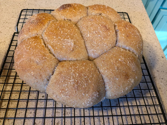 Dinner rolls for Thanksgiving