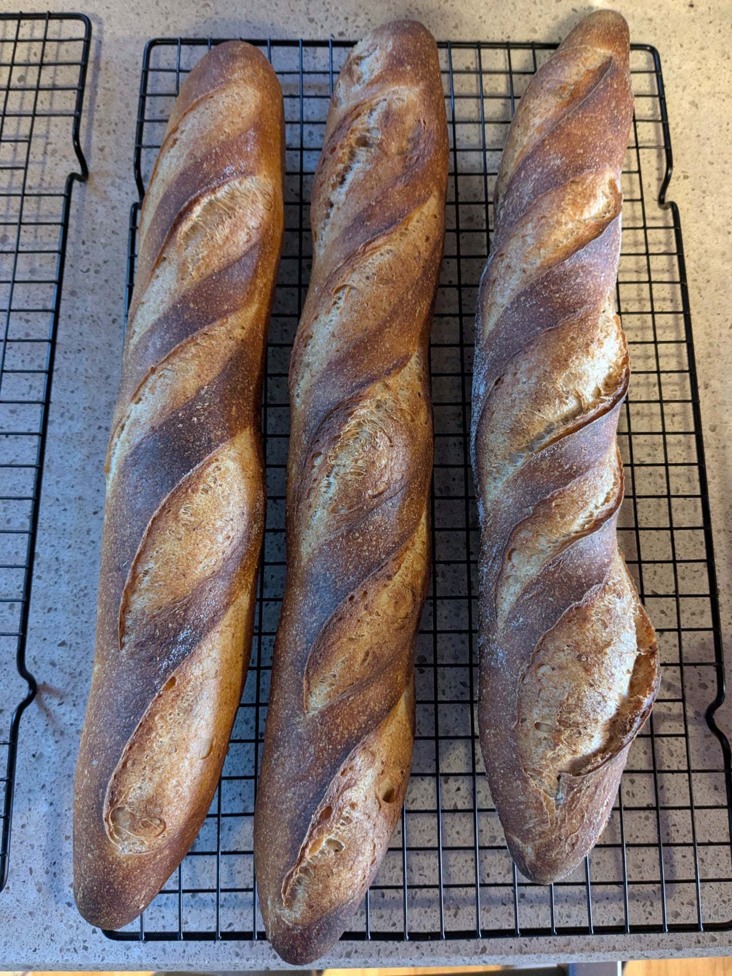 Baguettes & cornbread for afternoon of Tuesday, July 14
